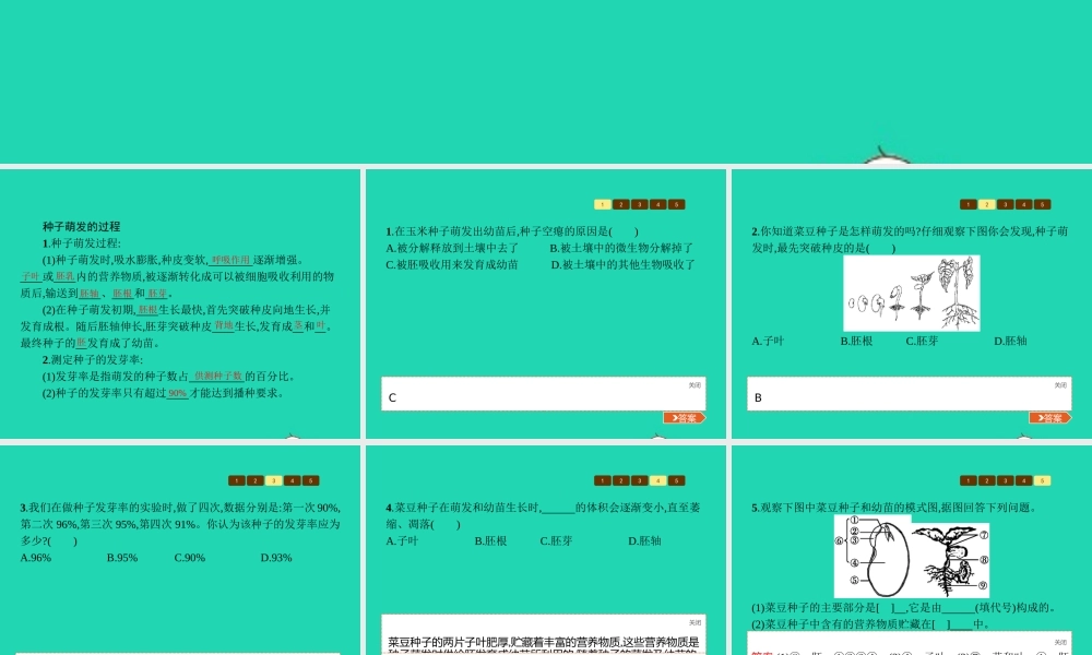 八年级生物上册 第四单元 第一章 第四节 种子的萌发(第2课时 种子萌发的过程)课件 (新版)济南版 课件