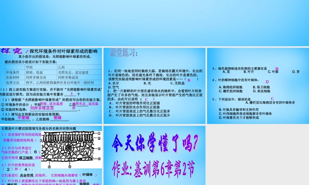 中学七年级生物上册 第6章 第2节 植物光合作用的场所课件2 苏教版 课件