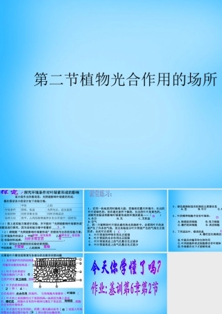 中学七年级生物上册 第6章 第2节 植物光合作用的场所课件2 苏教版 课件