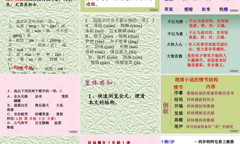 人教版高一语文祝福 课件