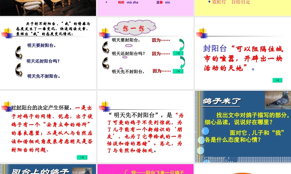 八年级语文上 明天不封阳台 精品件1人教版 课件