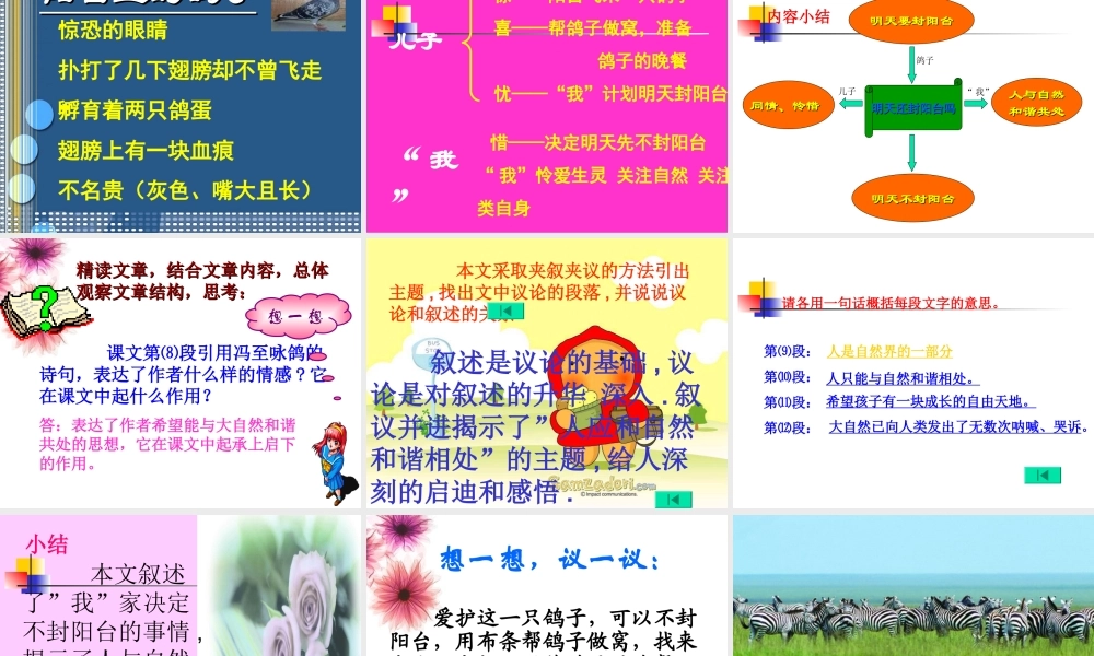 八年级语文上 明天不封阳台 精品件1人教版 课件