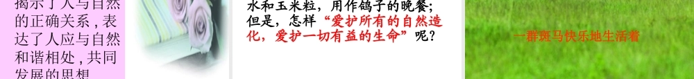 八年级语文上 明天不封阳台 精品件1人教版 课件