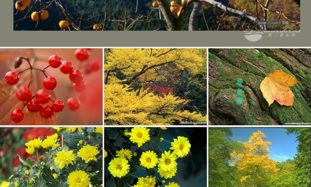 中学七年级语文上册 14秋天课件 (新版)新人教版 课件