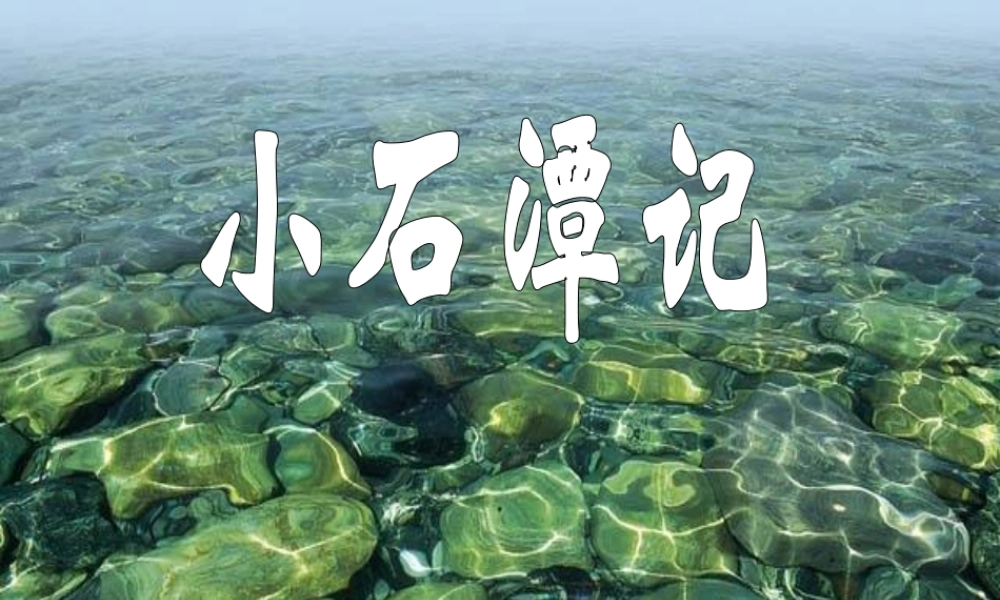 八年级语文上册 第16课(小石潭记)课件 苏教版 课件
