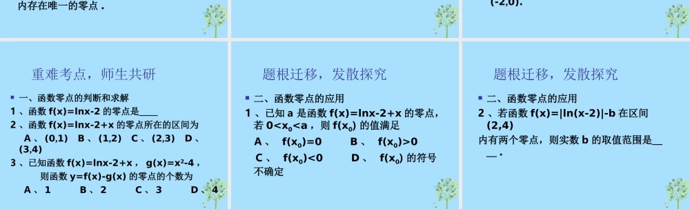 山西省忻州市高考数学 专题 函数零点1复习课件