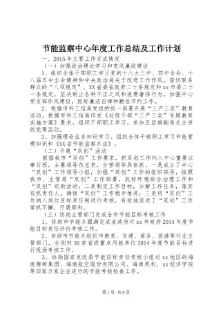 节能监察中心年度工作总结及工作计划