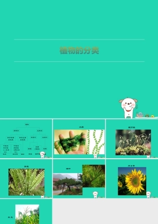 七年级生物上册 2.4.1(生物的分类方法)组图展示：植物的分类素材(新版)济南版 素材