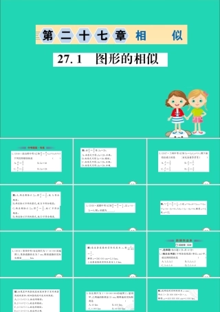 九年级数学下册 第二十七章 相似 271 图形的相似训练课件 (新版)新人教版 课件