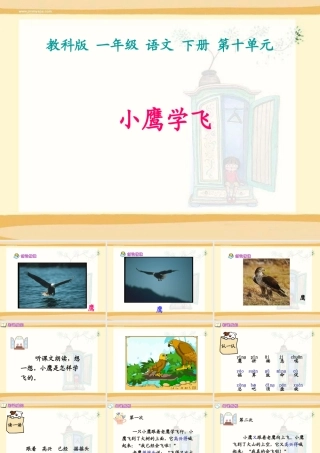 (教科版)一年级语文下册课件-小鹰学飞-1