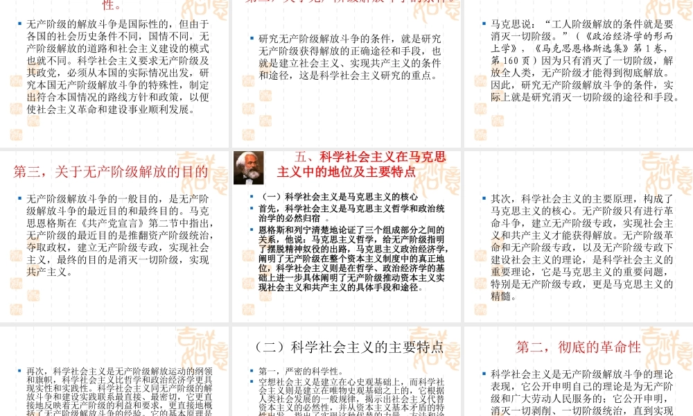 2010年科学社会主义理论与实践课件