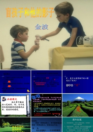 七年级语文 盲孩子和他的影子 课件人教版 课件