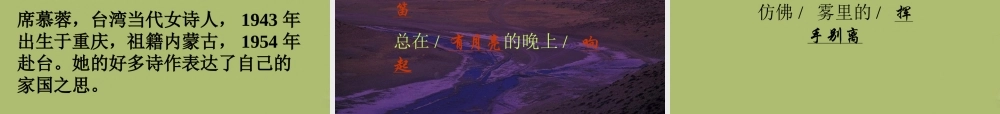 九年级语文下册 1(诗两首)我爱这土地课件2 新人教版 课件