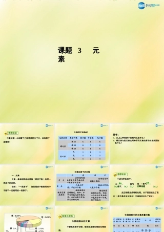 中学九年级化学上册 3.3 元素课件 (新版)新人教版 课件