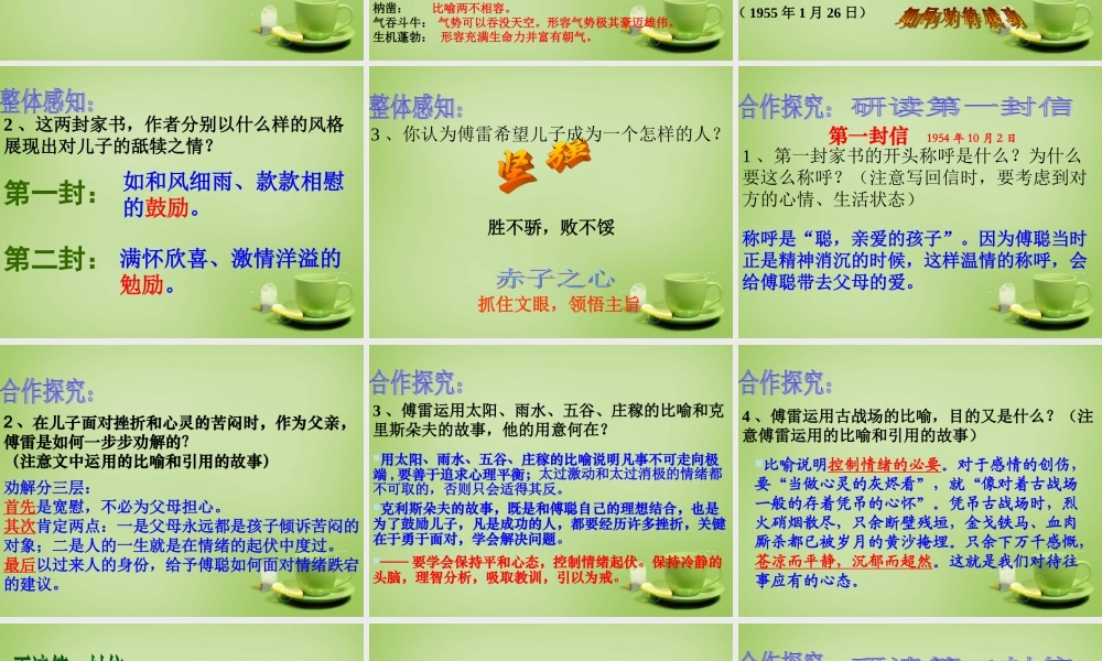 九年级语文上册 7(傅雷家书两则)课件 新人教版 课件