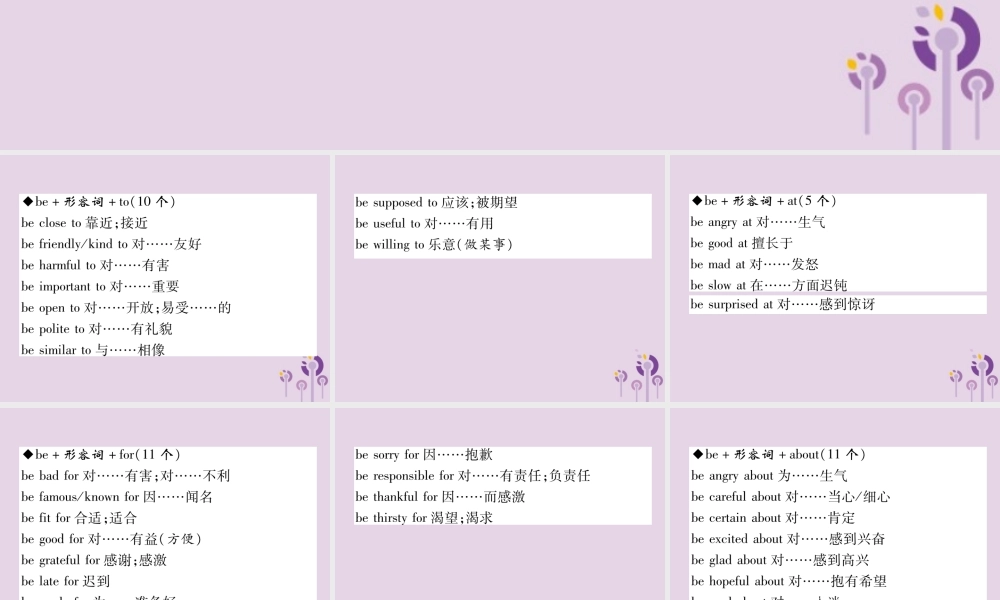 初中阶段重点短语梳理(3)形容词短语(共收录71个)课件