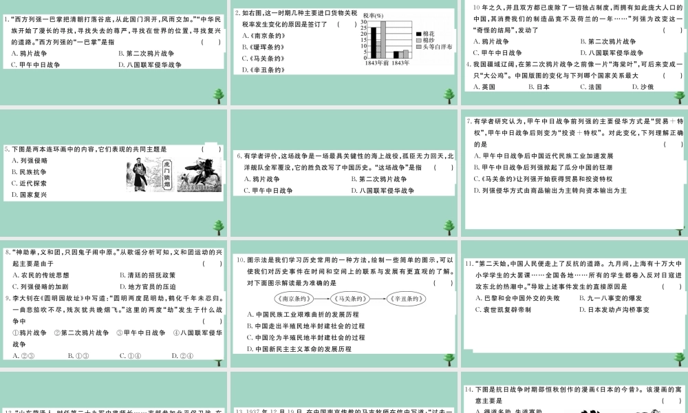八年级历史上册 专项突破测试卷(一)作业课件 新人教版 课件