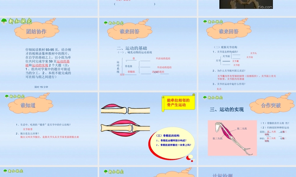 七年级生物上册 第二章生物圈中的动物第三节动物的运动课件 济南版 课件