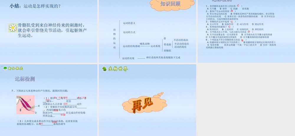 七年级生物上册 第二章生物圈中的动物第三节动物的运动课件 济南版 课件