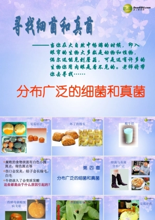 八年级生物上册 第五单元 4.1 细菌真菌的分布课件 新人教版 课件