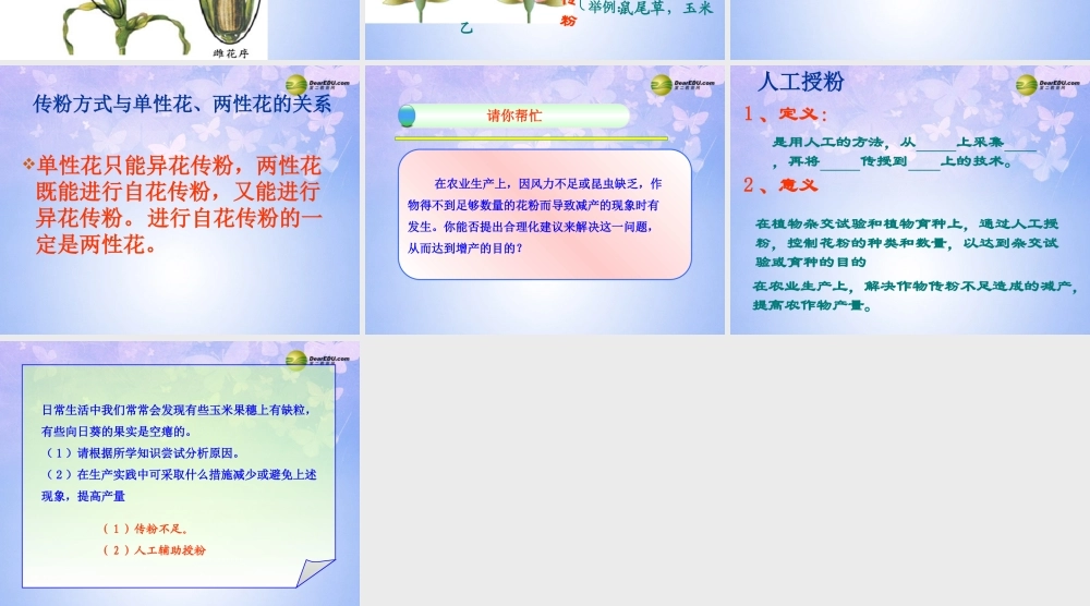 八年级生物上册 第二节 传粉与受精课件2 济南版 课件