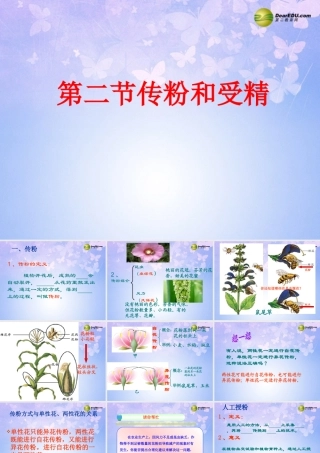 八年级生物上册 第二节 传粉与受精课件2 济南版 课件