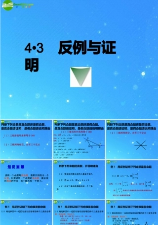 八年级数学下册 4-3反例与证明 课件 浙教版 课件