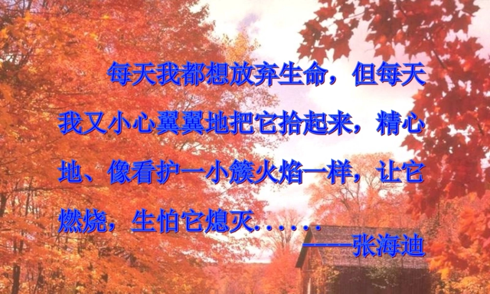 七年级语文上册 第一单元第三课(生命，生命)课件  人教新课标版 课件