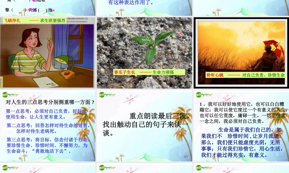 七年级语文上册 第一单元第三课(生命，生命)课件  人教新课标版 课件