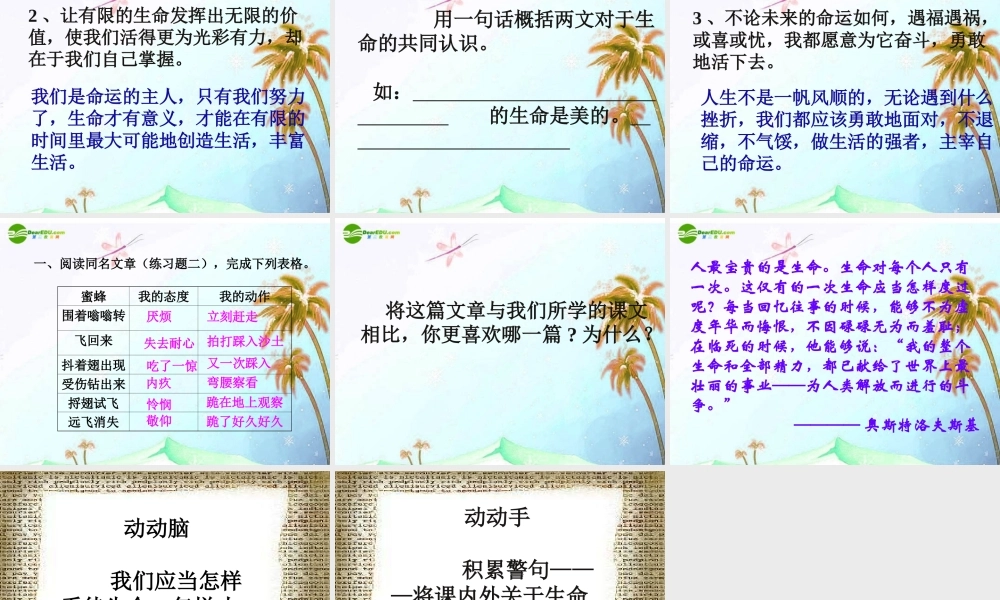 七年级语文上册 第一单元第三课(生命，生命)课件  人教新课标版 课件