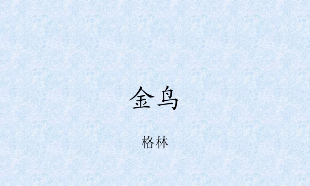 七年级语文上：第3课(金鸟)课件(冀教版) 课件