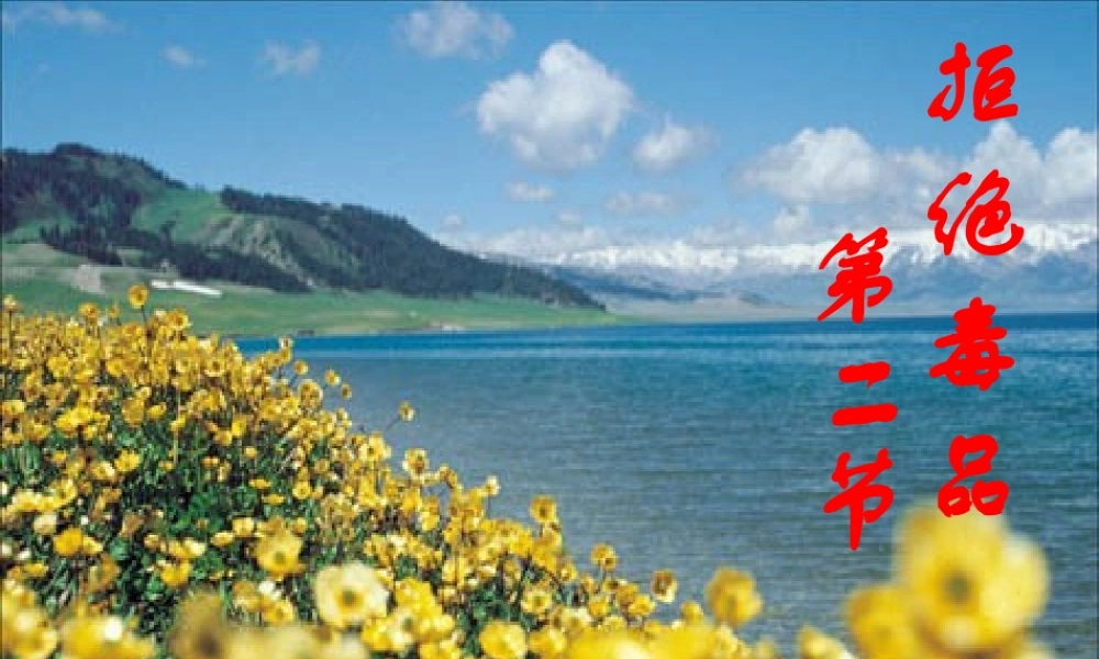 八年级生物 拒绝毒品珍爱生命课件
