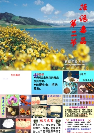 八年级生物 拒绝毒品珍爱生命课件