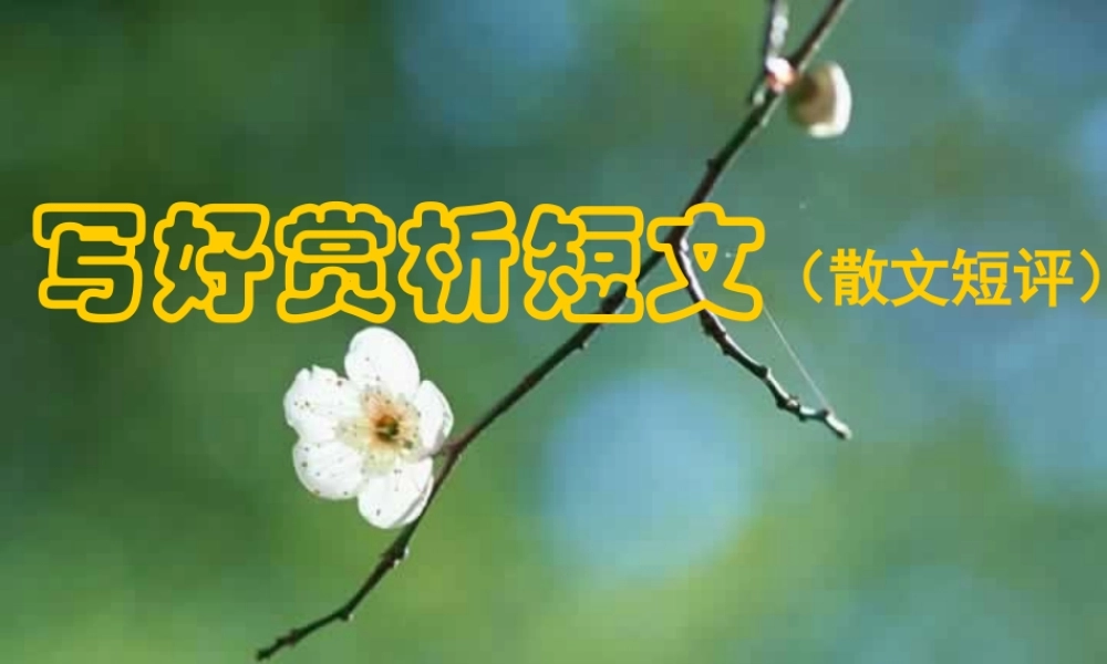 中学高考语文第二轮专题复习全套课件[整理七套]人教版