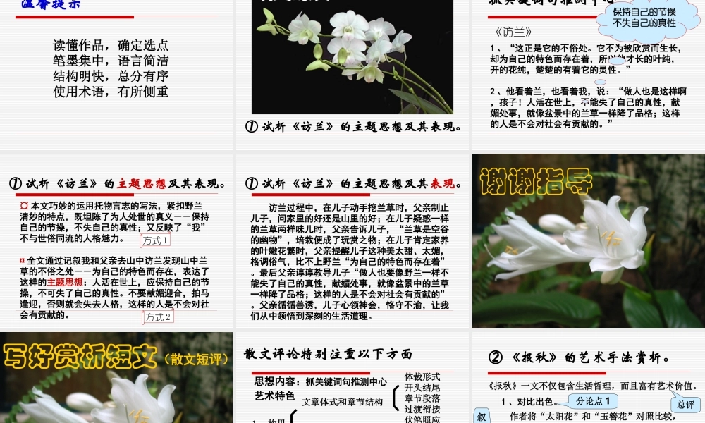 中学高考语文第二轮专题复习全套课件[整理七套]人教版