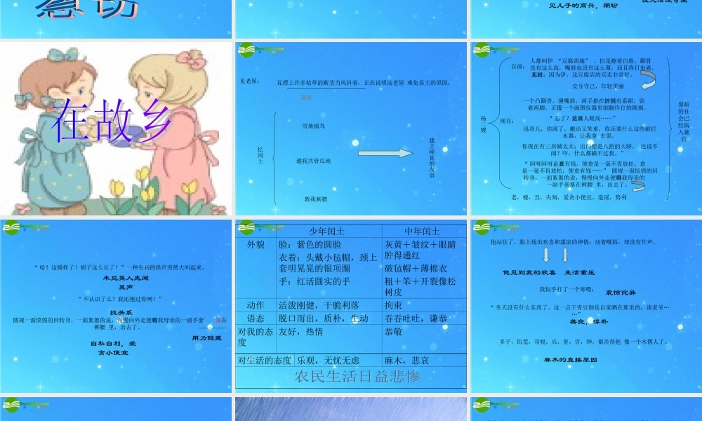 九年级语文上册 (故乡)课件 人教新课标版 课件