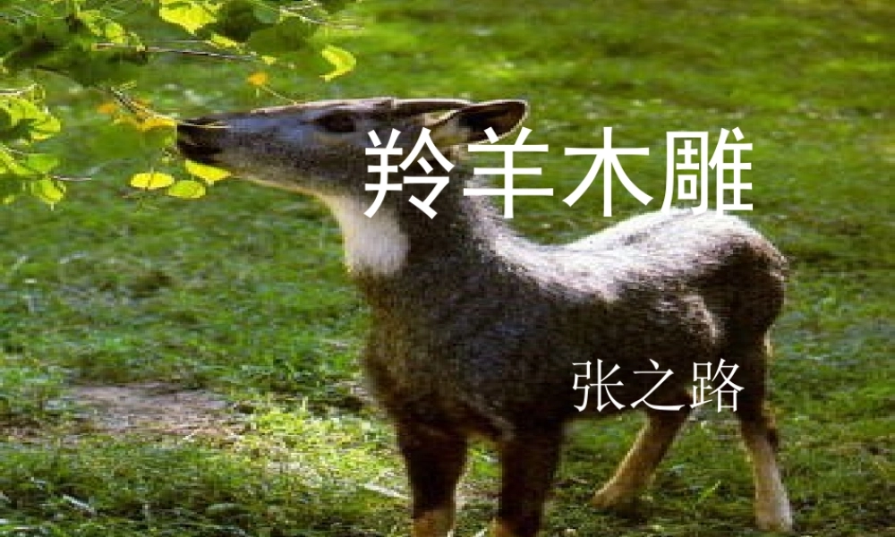 七年级语文上羚羊木雕1课件人教版 课件