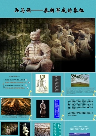 秦朝军威的象征(自学)