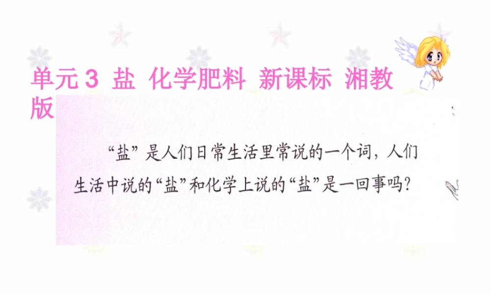 单元3 盐 化学肥料 新课标 湘教版 课件