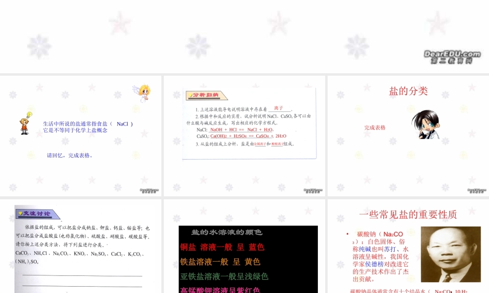 单元3 盐 化学肥料 新课标 湘教版 课件