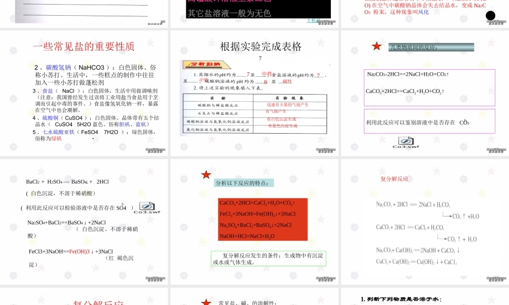 单元3 盐 化学肥料 新课标 湘教版 课件