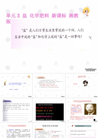 单元3 盐 化学肥料 新课标 湘教版 课件