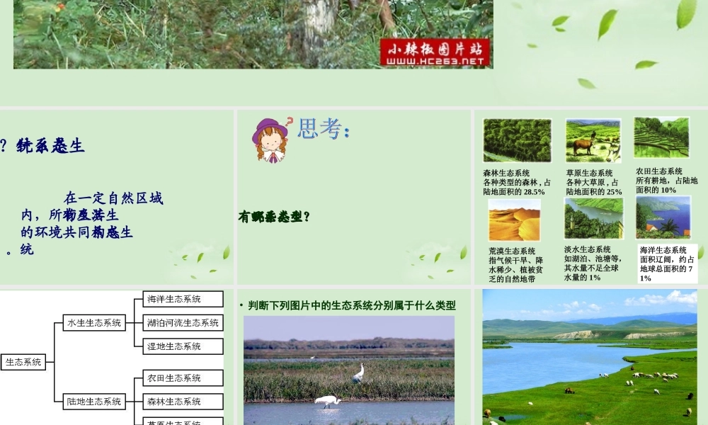 八年级生物 生态系统概述课件 北师大版 课件