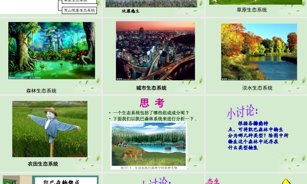 八年级生物 生态系统概述课件 北师大版 课件