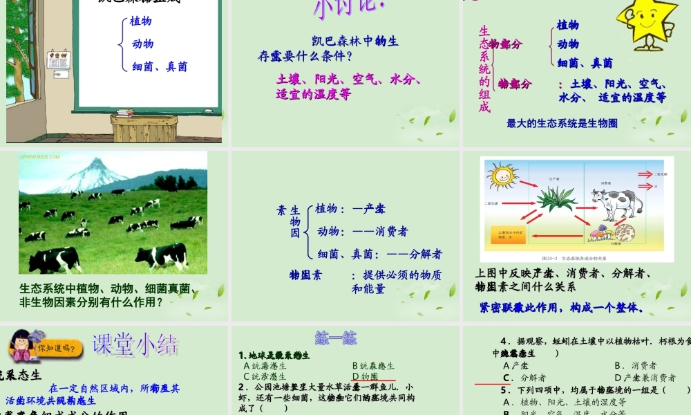 八年级生物 生态系统概述课件 北师大版 课件