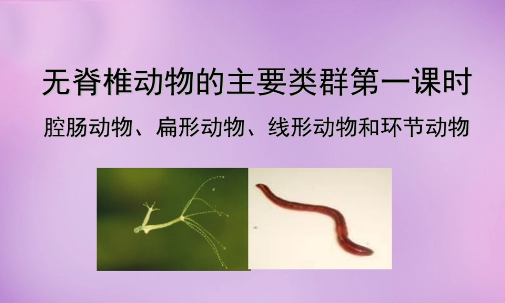 七年级生物上册 2.2.1 无脊椎动物的主要类群课件 (新版)济南版 课件