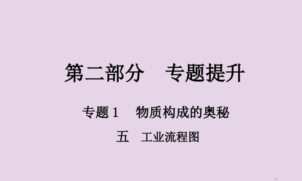 中考化学总复习 第二部分 专题提升 专题1 物质构成的奥秘 五 工业流程图课件