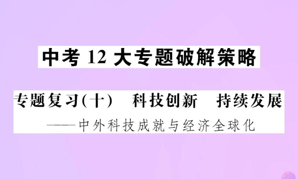 中考历史总复习 专题复习(十)科技创新 持续发展课件 新人教版 课件