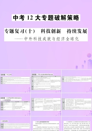 中考历史总复习 专题复习(十)科技创新 持续发展课件 新人教版 课件