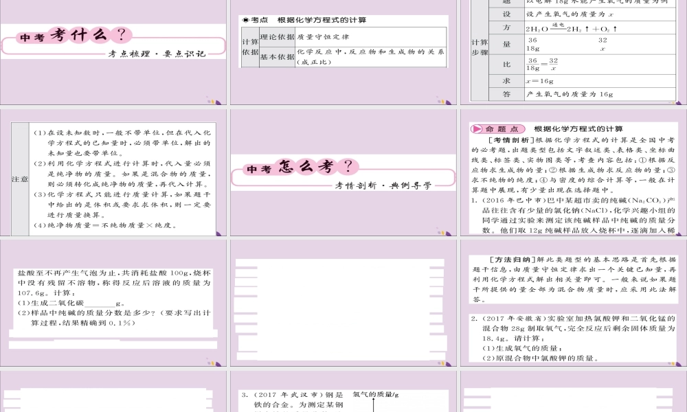 中考化学总复习 第一轮复习 系统梳理 夯基固本 第10讲 利用化学方程式的简单计算课件
